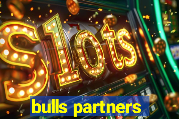 bulls partners